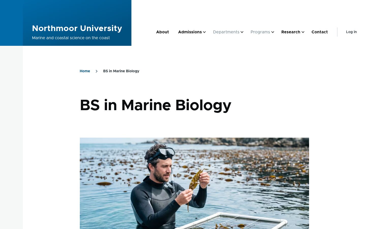 A program page with its featured image